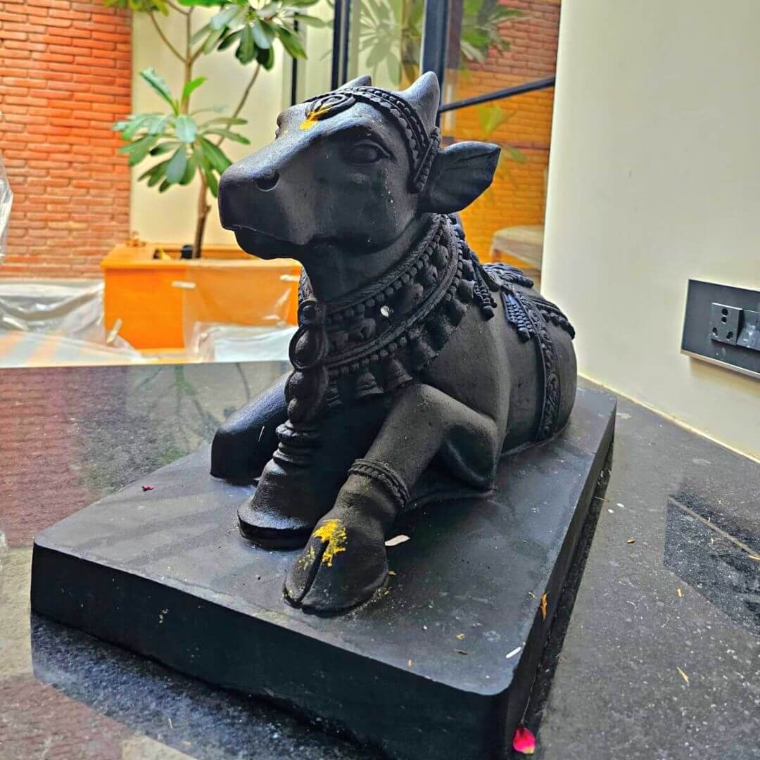Black Stone Nandi 2ft - Image 4