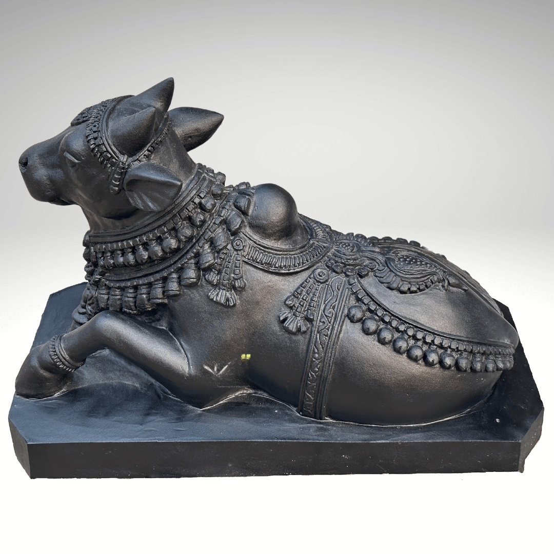 Black Stone Nandi 2ft